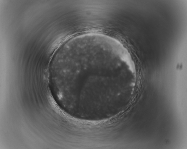 X0000112000002200909141113