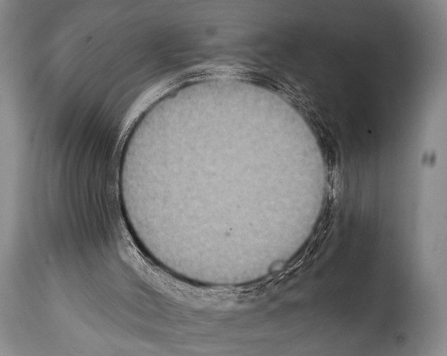 X0000112000004200909141113