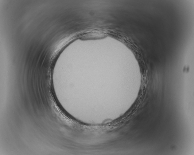 X0000112000005200909141113