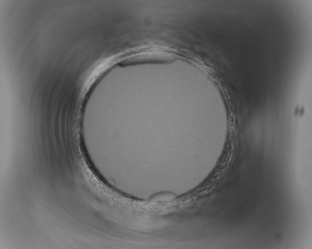 X0000112000007200909141113