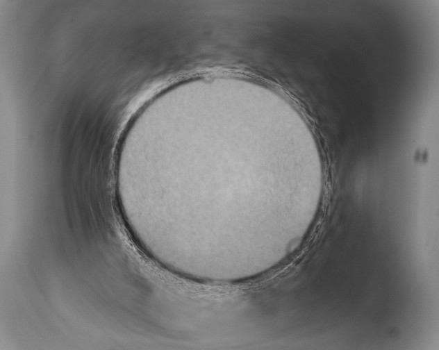 X0000112000008200909141113