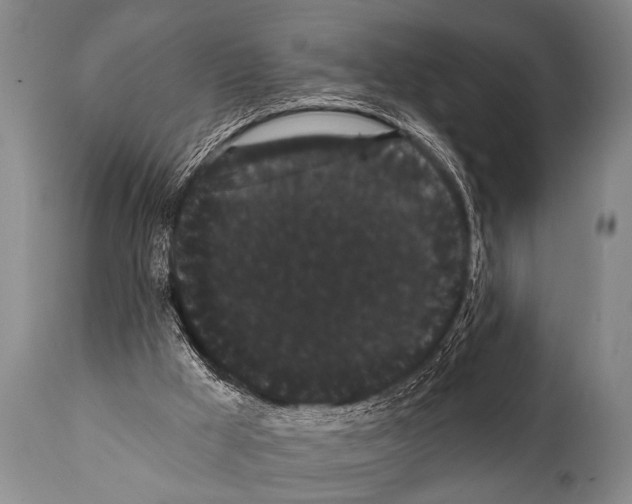 X0000112000009200909141113