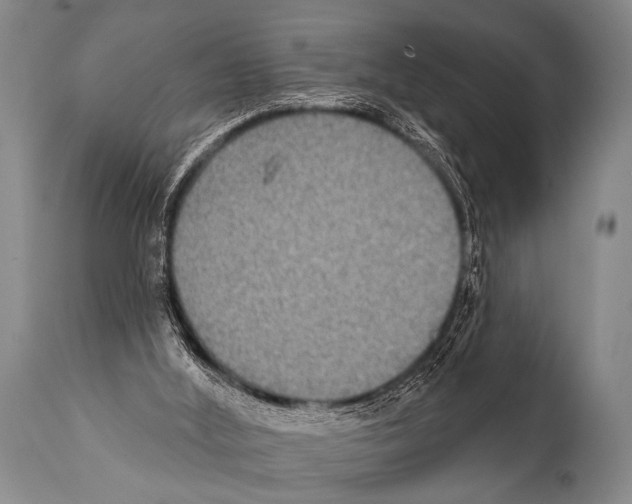 X0000112000012200909141113