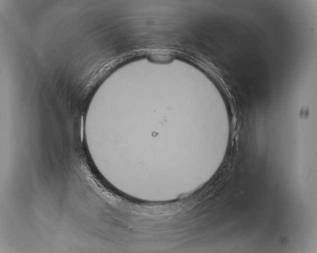 X0000112000013200909141113