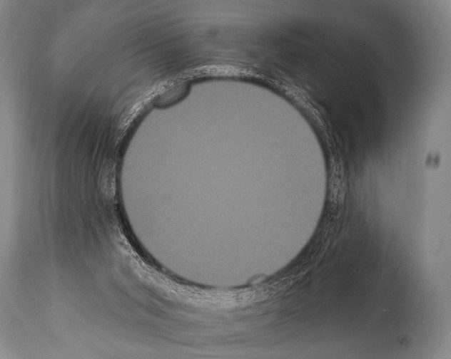 X0000112000015200909141113