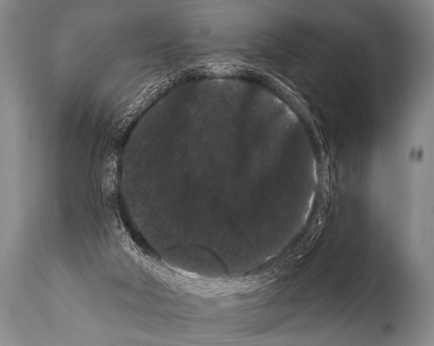 X0000112000018200909141113