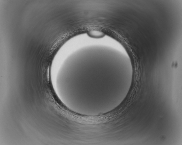 X0000112000019200909141113