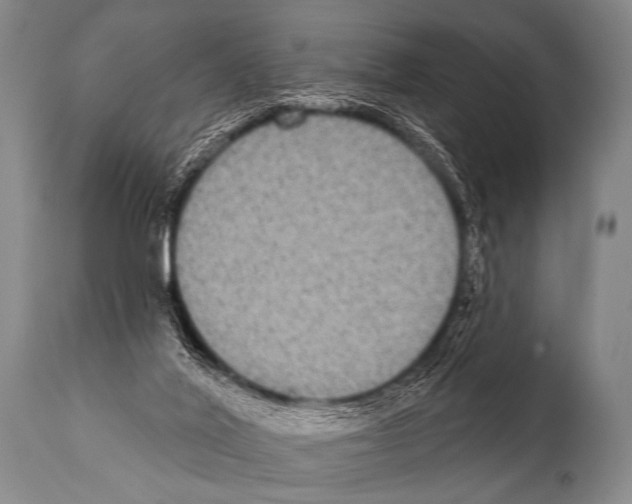 X0000112000020200909141113