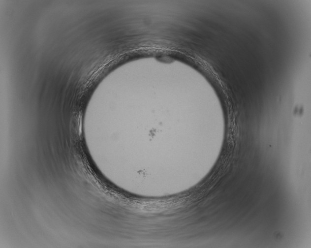 X0000112000021200909141112