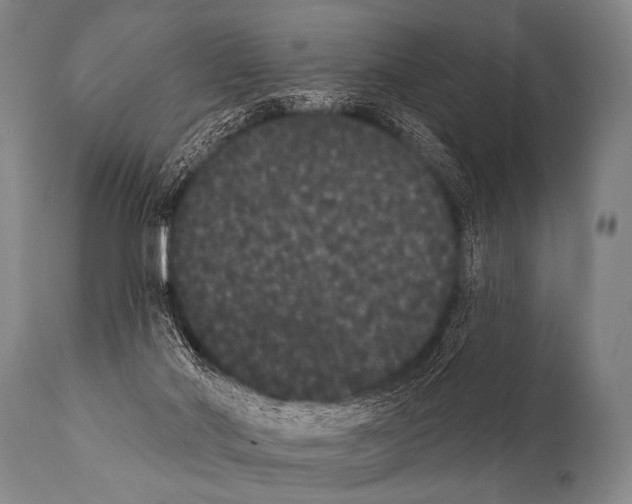 X0000112000022200909141112