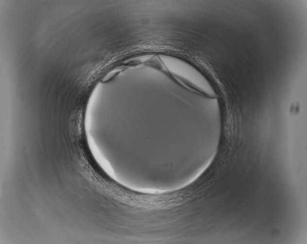 X0000112000023200909141112