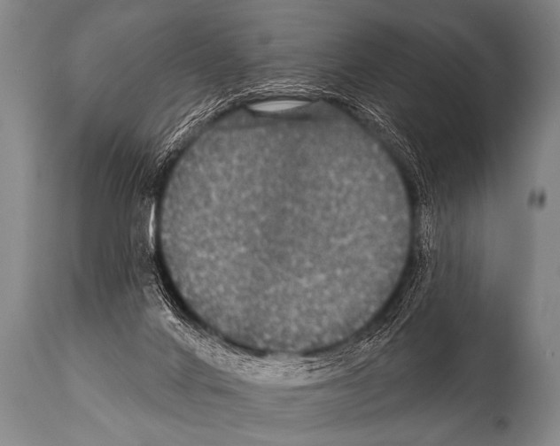 X0000112000024200909141112