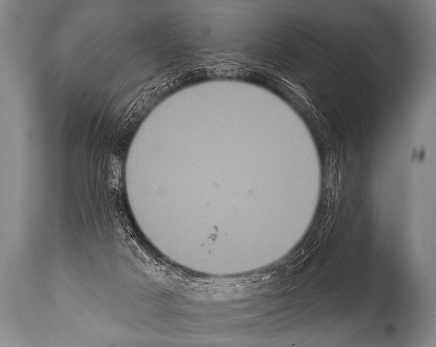 X0000112000025200909141112