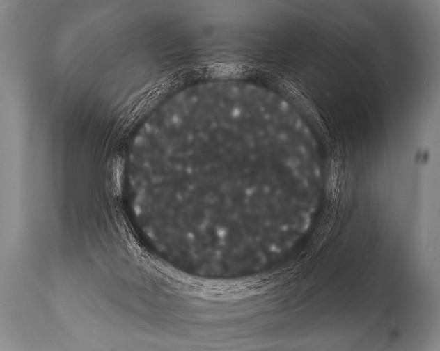 X0000112000026200909141112