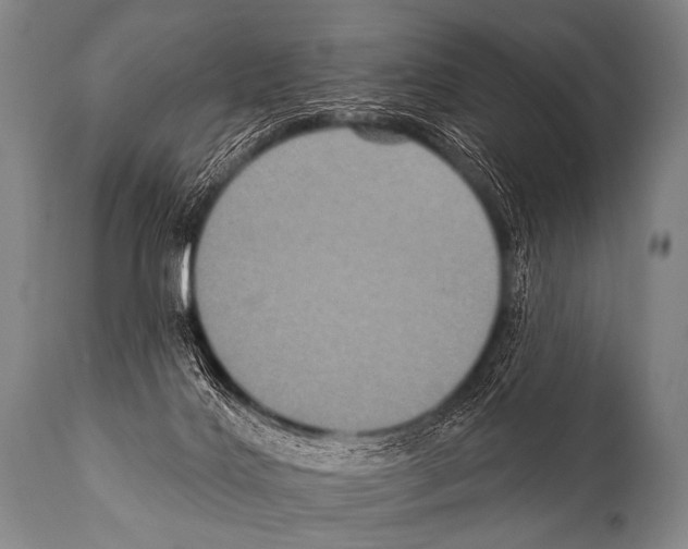 X0000112000028200909141112