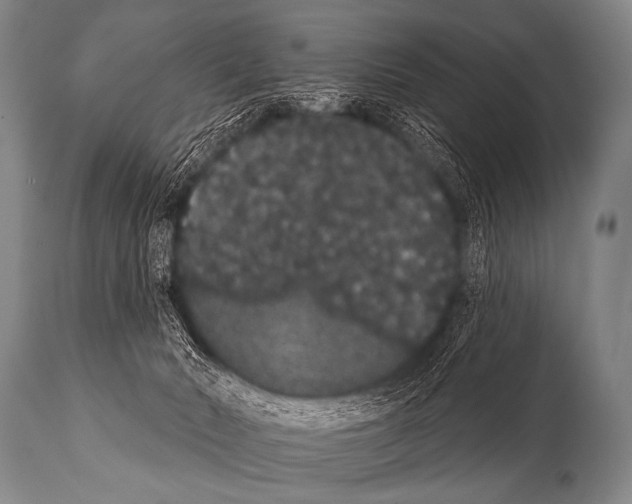 X0000112000030200909141112