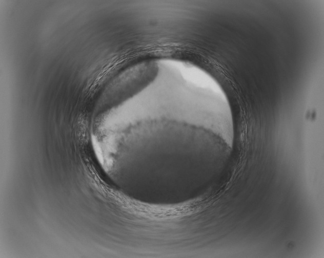 X0000112000031200909141112