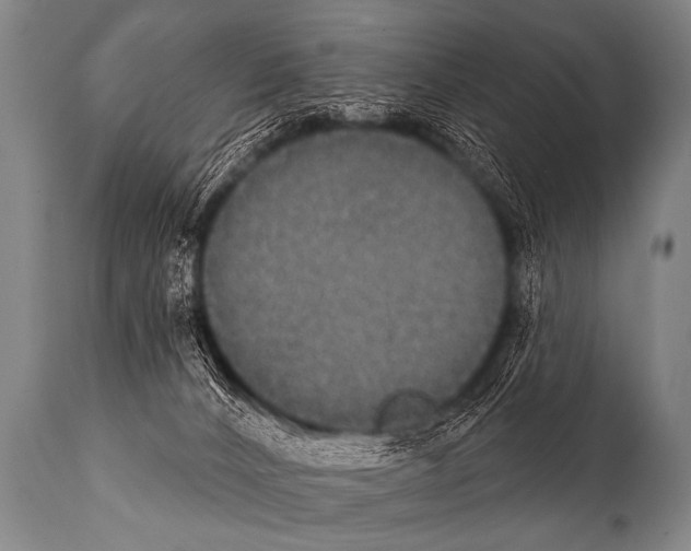 X0000112000032200909141112