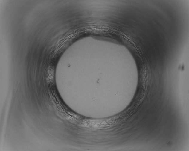 X0000112000033200909141112