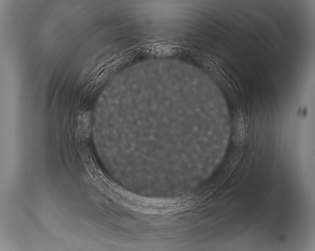 X0000112000034200909141112