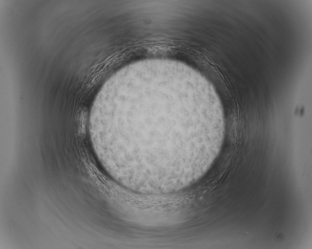 X0000112000038200909141112