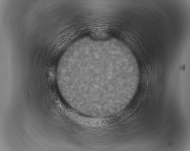 X0000112000040200909141112