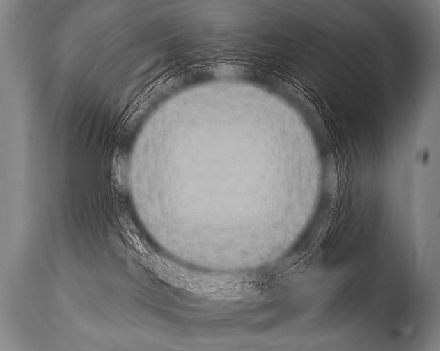 X0000112000044200909141112