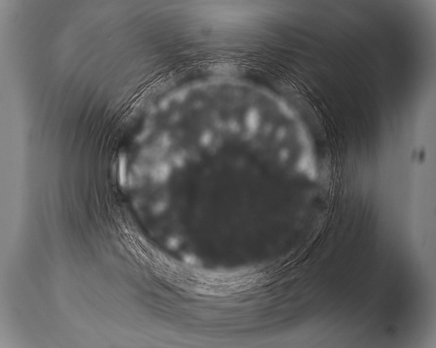 X0000112000046200909141112