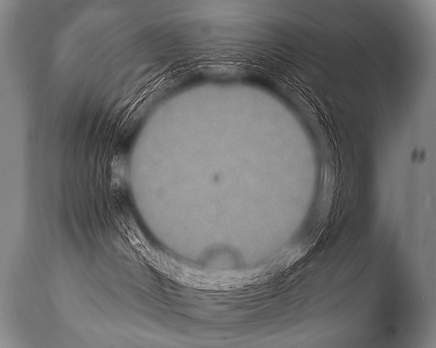 X0000112000048200909141112