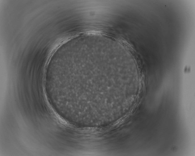 X0000112000049200909141111