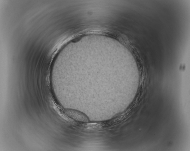 X0000112000050200909141111