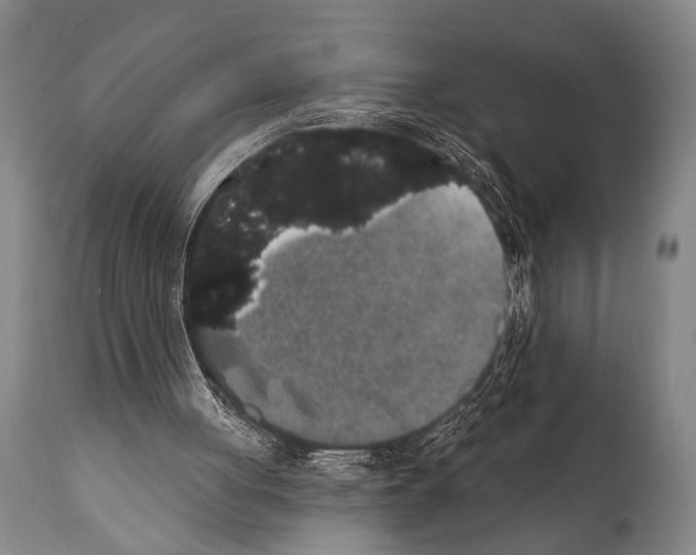 X0000112000051200909141111