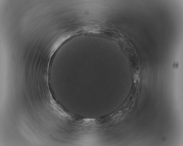 X0000112000052200909141111