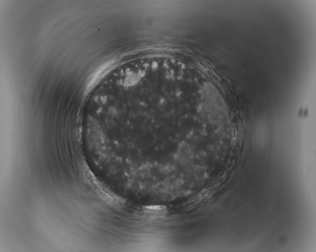 X0000112000053200909141111