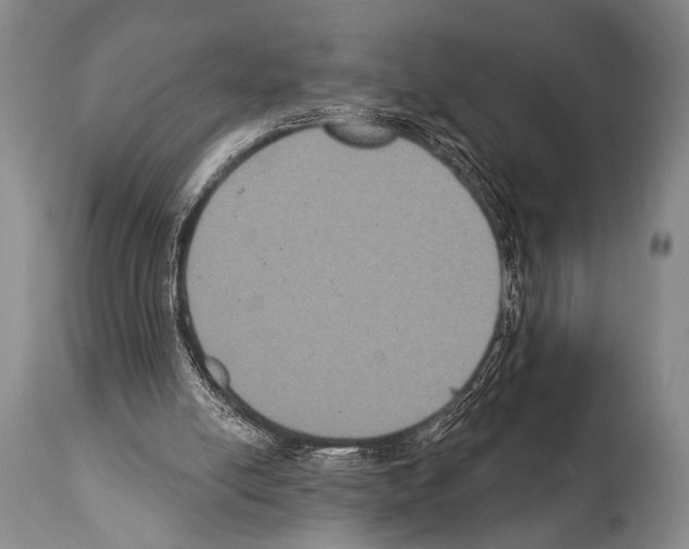 X0000112000054200909141111