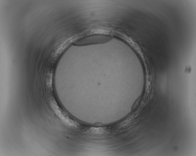 X0000112000057200909141111