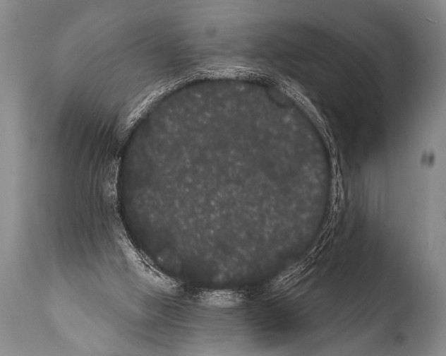 X0000112000058200909141111