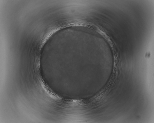 X0000112000060200909141111