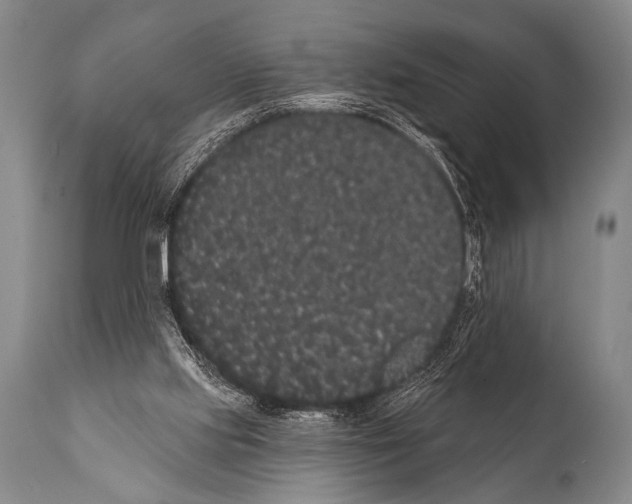 X0000112000061200909141111