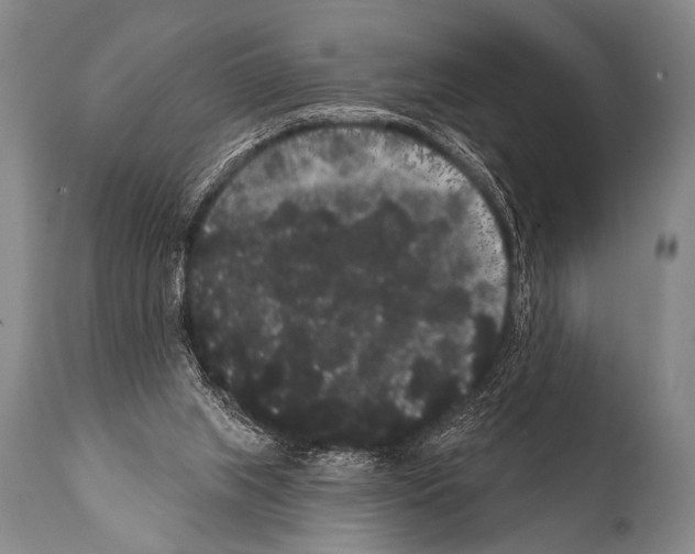 X0000112000063200909141111