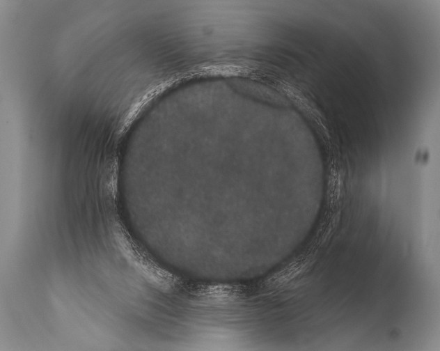 X0000112000064200909141112