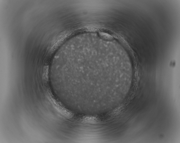 X0000112000066200909141112