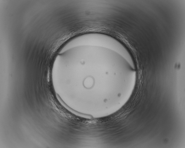 X0000112000068200909141112