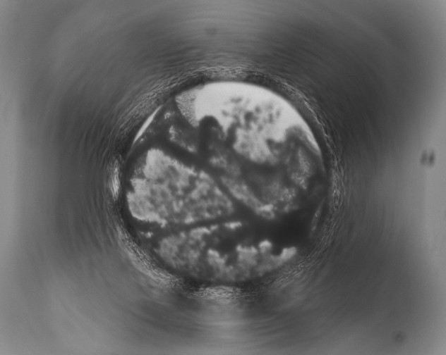 X0000112000069200909141112