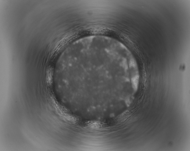 X0000112000074200909141112