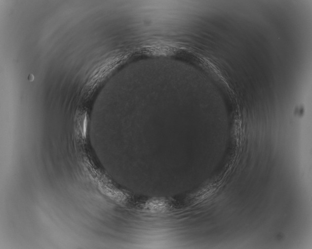 X0000112000076200909141112