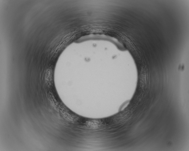 X0000112000079200909141112