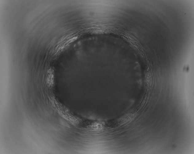 X0000112000080200909141112