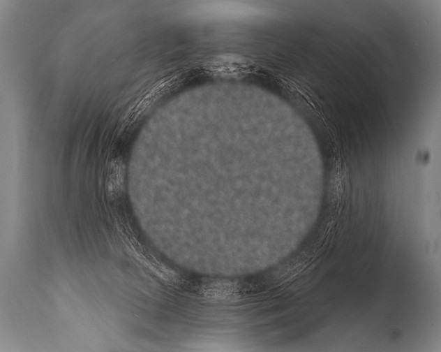 X0000112000081200909141112