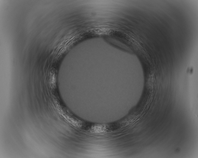 X0000112000084200909141112